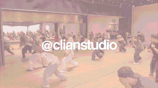 Imagen 1 de la galería del partner Clian Studio