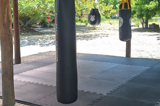 Imagem 2 da galeria do parceiro C.T Team Leão