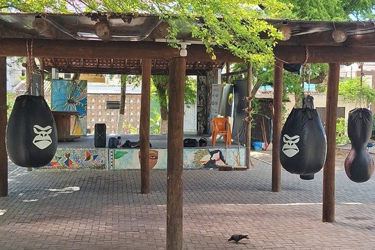 Imagem 1 da galeria do parceiro C.T Team Leão