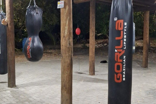 Imagem 3 da galeria do parceiro C.T Team Leão