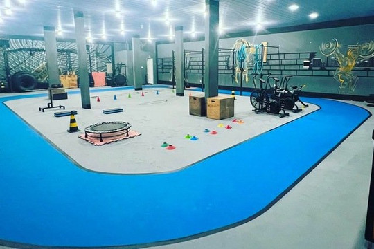 Imagem 1 da galeria do parceiro CT Movimentos Paullo Miranda