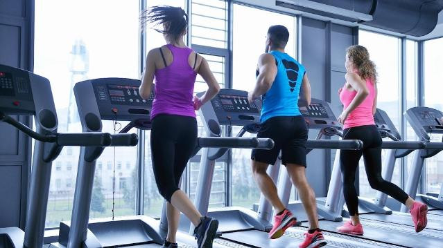 Bild 3 von Highlight Fitness Verden Partnergalerie