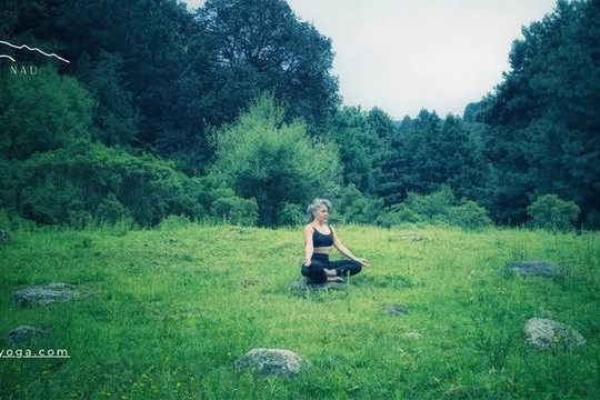 Imagen 1 de la galería del partner BI NAU Yoga