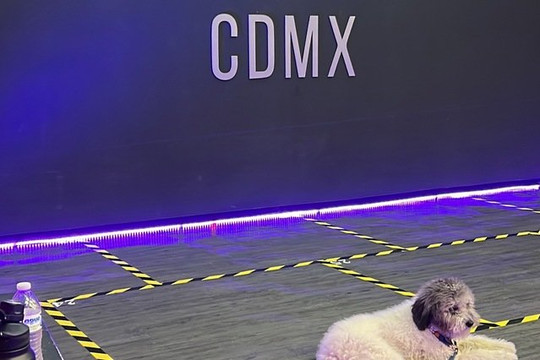 Imagen 3 de la galería del partner DNZ Studio CDMX