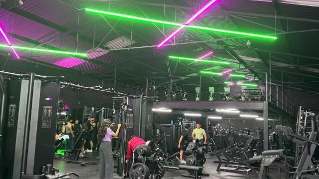 Imagen 3 de la galería del partner Xness Constitución