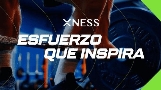 Imagen 1 de la galería del partner Xness Constitución