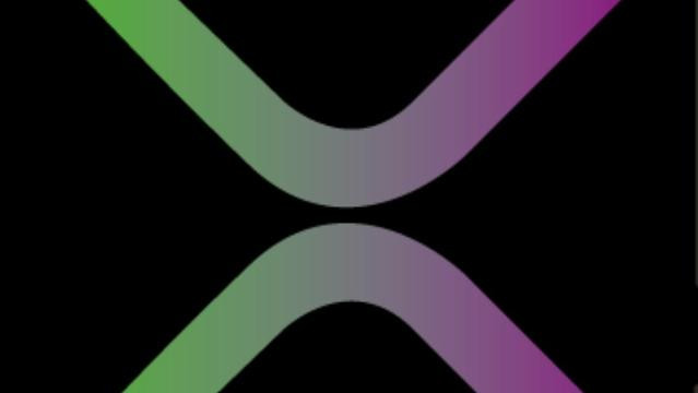 Imagen 2 de la galería del partner Xness Constitución