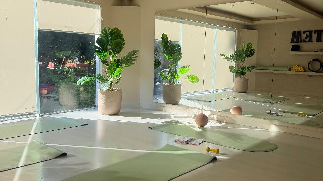 Imagen 2 de la galería del partner Totem Studio