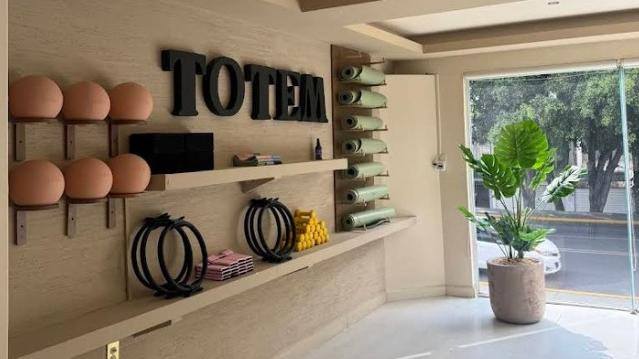 Imagen 1 de la galería del partner Totem Studio