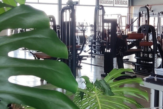 Imagem 2 da galeria do parceiro Ease.U Fitness