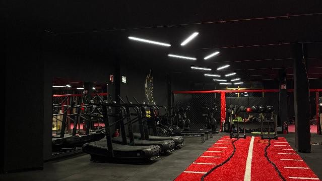 Imagen 1 de la galería del partner Warrior Zone