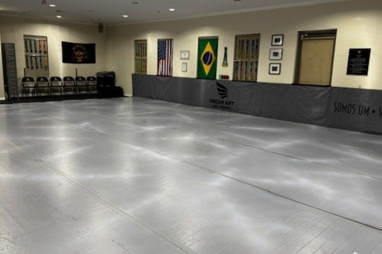 Image 3 from Dream Art Brazilian Jiu-Jitsu by Neale Hoerle partner gallery