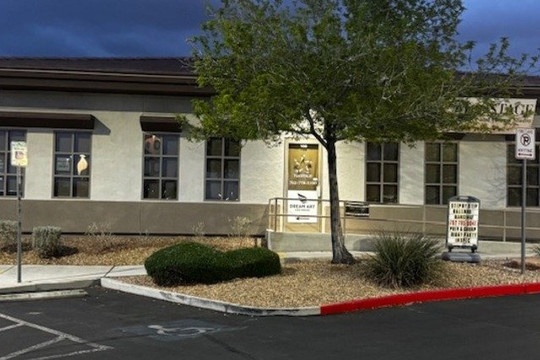 Image 2 from Dream Art Brazilian Jiu-Jitsu by Neale Hoerle partner gallery