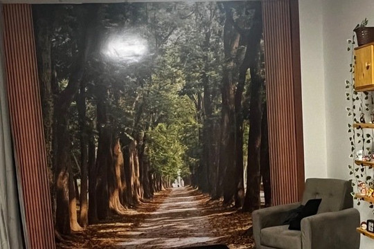 Imagem 2 da galeria do parceiro Mariangela Maggioni Terapias Integrativas