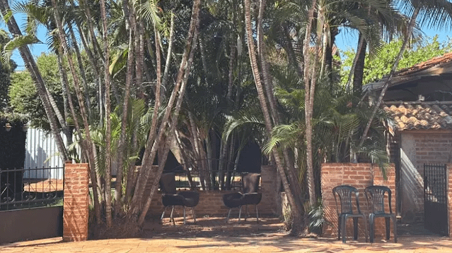Imagem 2 da galeria do parceiro Floresta Saude e Cultura