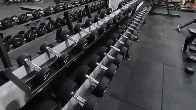 Imagen 3 de la galería del partner BLACK FOX Smart Training Club