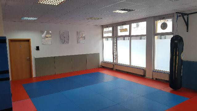 Bild 3 von Budokan Heidenheim Partnergalerie