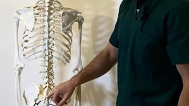 Immagine 1 dalla galleria del partner Studio di Mirco Brunetti - Urbino