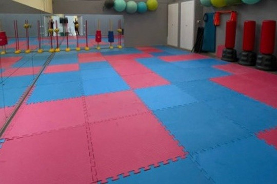 Immagine 3 dalla galleria del partner Energy Kinesis San Secondo