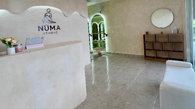 Imagen 2 de la galería del partner NŪMA STUDIO
