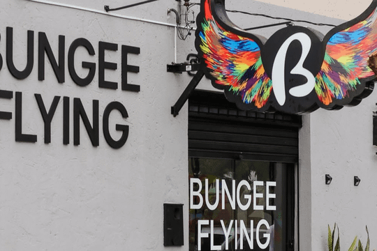 Imagem 2 da galeria do parceiro Bungee Flying