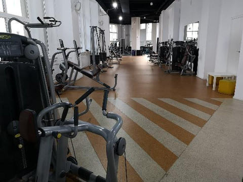 Imaginea 1 din Salsafit Gym galeria partenerului