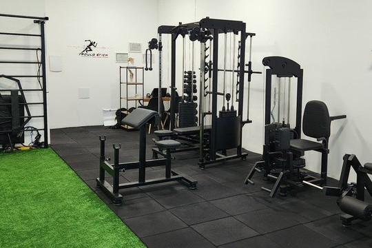 Imagem 1 da galeria do parceiro Paulo Érick - Treinamento e Reabilitação Funcional