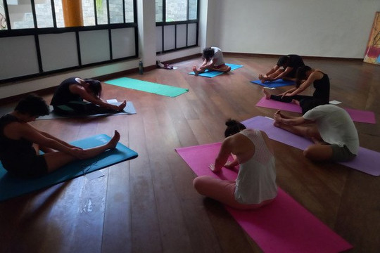 Imagem 3 da galeria do parceiro ioga luvilu