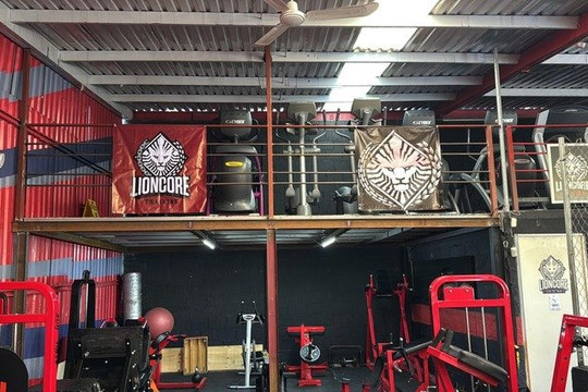 Imagen 1 de la galería del partner Lion Core Gym