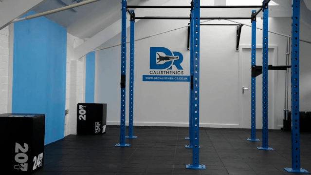 Image 1 from DR. Calisthenics partner gallery