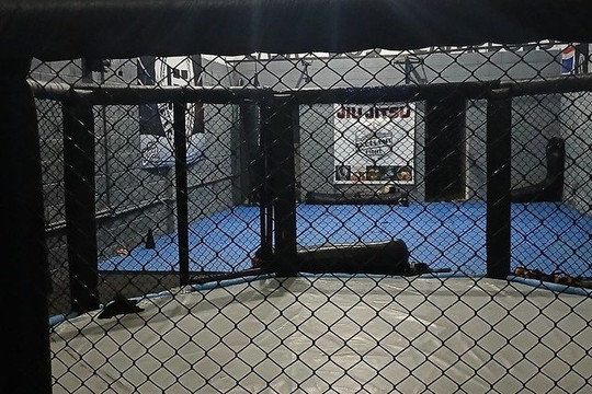 Imagem 1 da galeria do parceiro Irmandade Fight Team