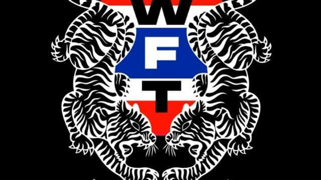 Imagem 3 da galeria do parceiro Weslei Fight Team Academia de Lutas