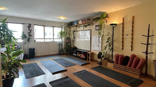 Imagem 3 da galeria do parceiro A Pequena Sala de Yoga