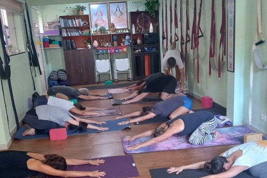 Imagem 1 da galeria do parceiro Arte Om Yoga e Ayurveda