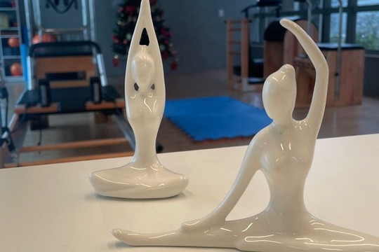 Imagem 3 da galeria do parceiro Pilates Neo Integrativa