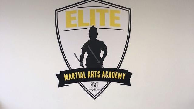 Image 2 from Elite Martial Arts Academy Braeside partner gallery