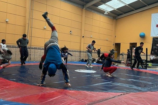 Imagen 3 de la galería del partner Licantropia Entrenamiento de la Fuerza