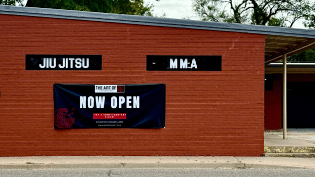 Image 2 from The Art of Flow Martial Arts partner gallery