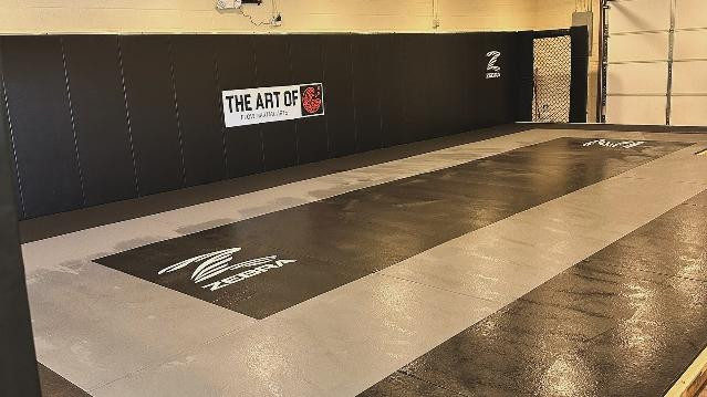 Image 1 from The Art of Flow Martial Arts partner gallery