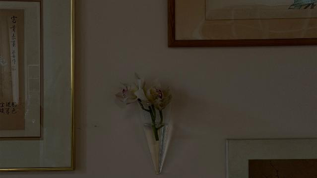 Image 3 from HYDE Studio partner gallery