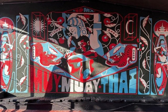 Imagen 1 de la galería del partner Muy Muay Thai