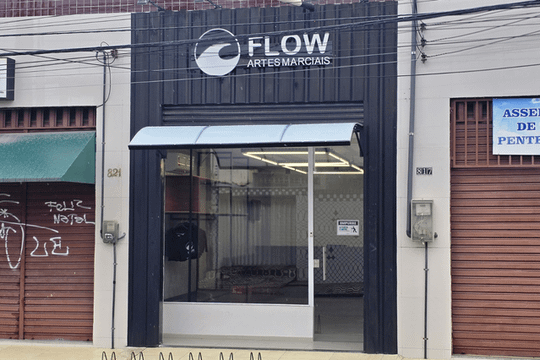 Imagem 2 da galeria do parceiro Flow Artes Marciais