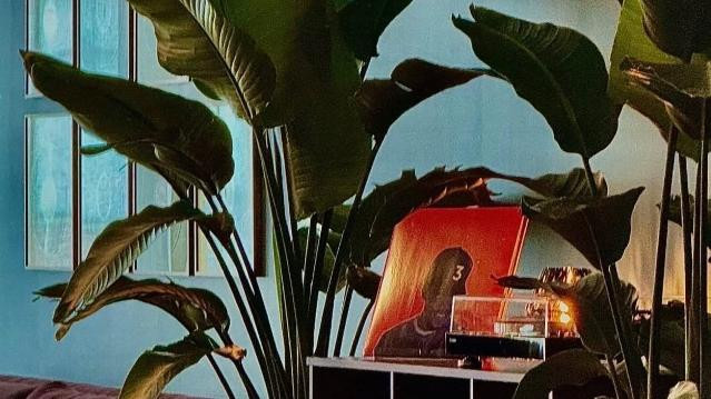 Image 3 from Vinyl Pilates partner gallery