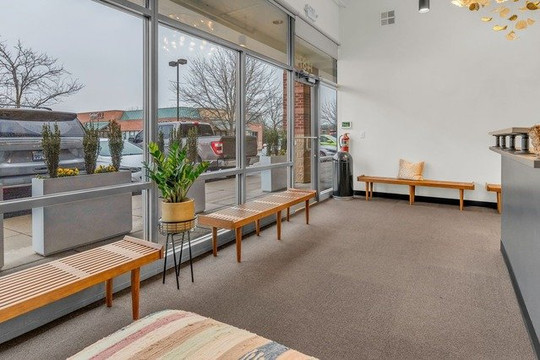 Image 2 from Yoga Moderne partner gallery