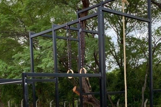 Imagem 1 da galeria do parceiro Box Selva