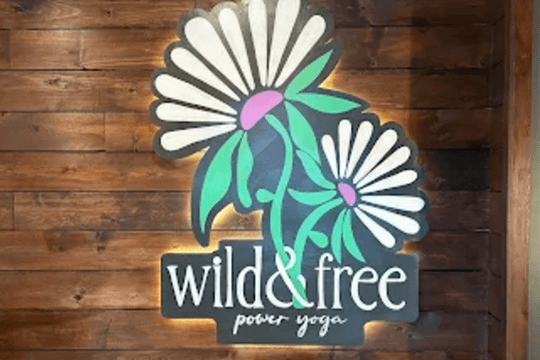 Image 1 from Wild & Free Power Yoga Hershey partner gallery