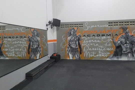 Imagem 3 da galeria do parceiro Forjafit Academia