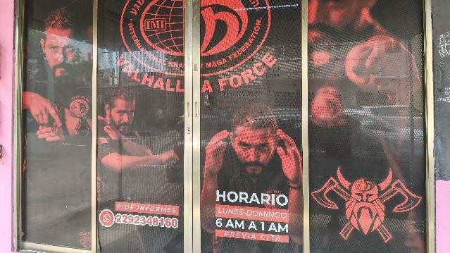 Imagen 2 de la galería del partner Krav Maga Valhalla Force