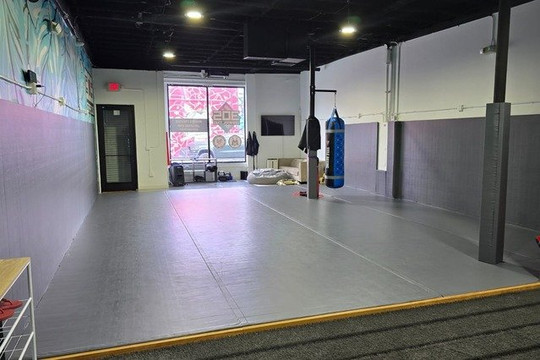 Image 1 from 305 Grappling partner gallery