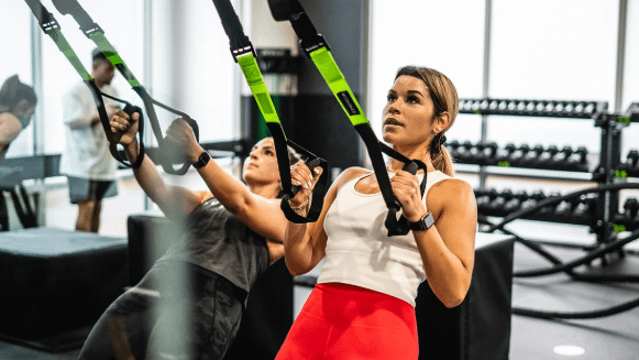 Image 1 from ISI Elite Training - Wesley Chapel partner gallery